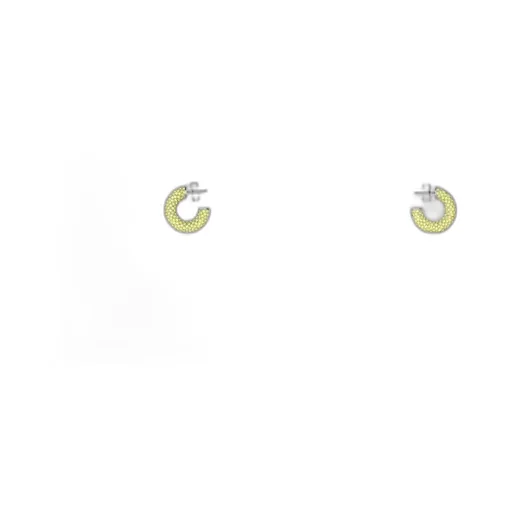 Cameron Hoop Mini Earrings