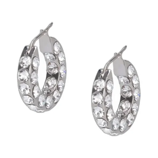 Crystal Decorated Ring Earrings