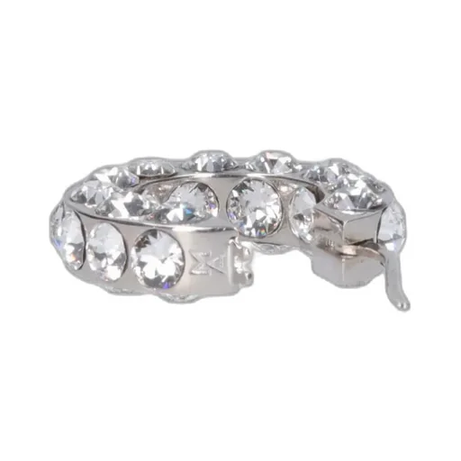 Crystal Decorated Ring Earrings