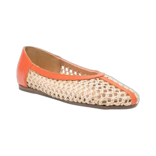 Aeropi Ballet Flats