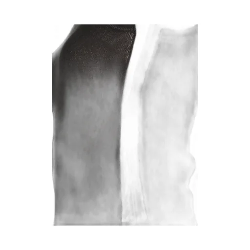 Translucent Short-Sleeved T-Shirt
