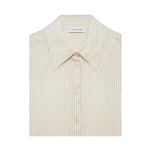 Striped Shirt