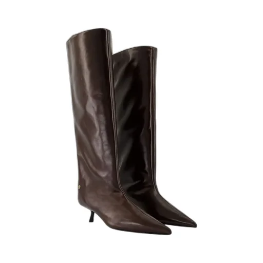 Anine Bing Tall Hilda Pointed Toe Boots