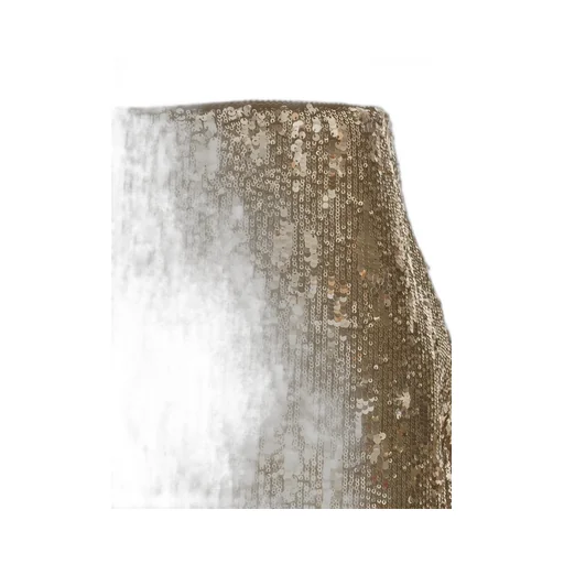 Sequined Mini Skirt