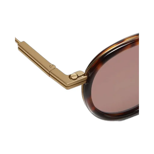 Havana Brown Titanium And Acetate Sunglasses