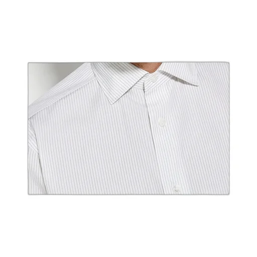 Pinstriped Long-Sleeved Shirt