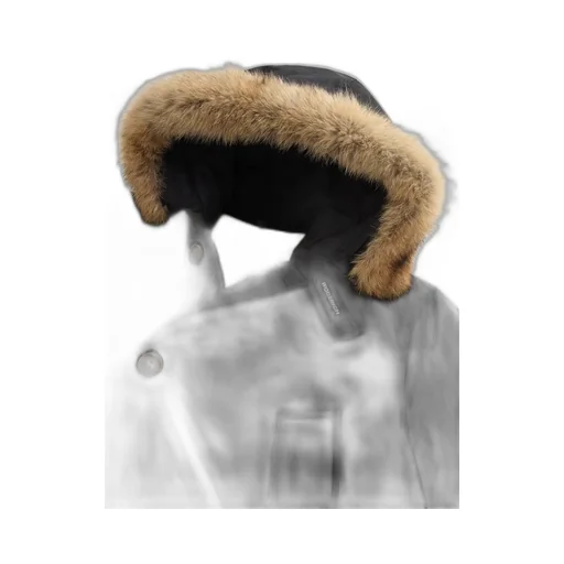 Arctic Hooded Parka