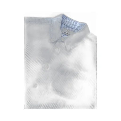 Long-Sleeved Buttoned Striped Shirt