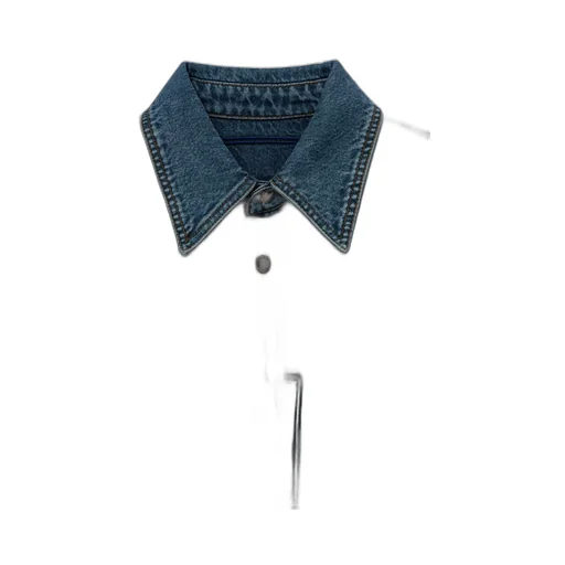 Floral Embroidered Denim Shirt