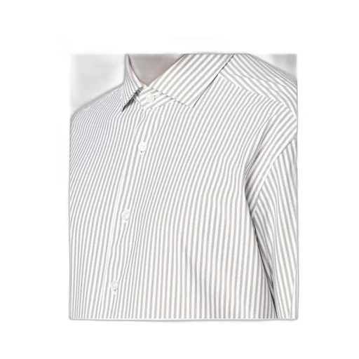 Striped Shirt