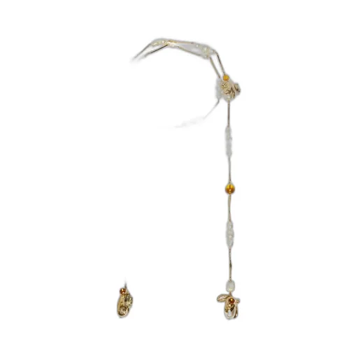 Lariat Necklace
