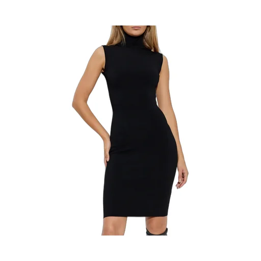 Turtleneck Sleeveless Dress