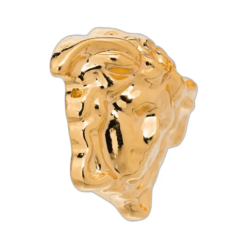 Medusa Motif Earrings