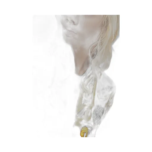 Acanthus Print Bomber Jacket