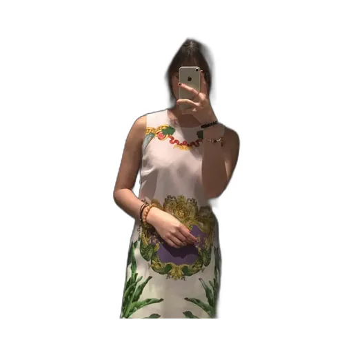 Iconic Printed Dress
