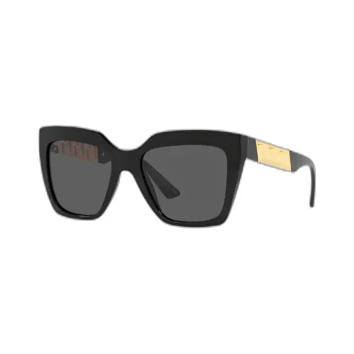 Square Frame Sunglasses