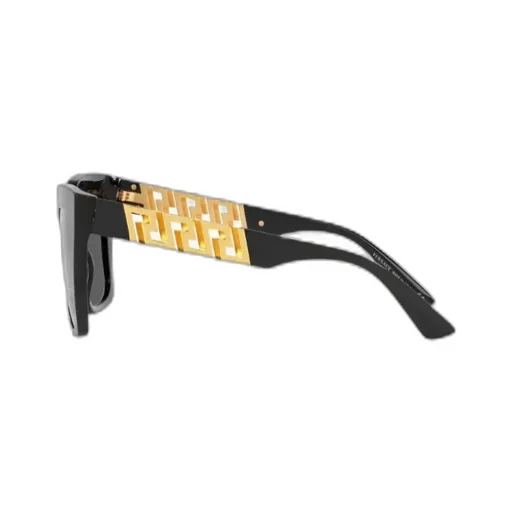 Square Frame Sunglasses