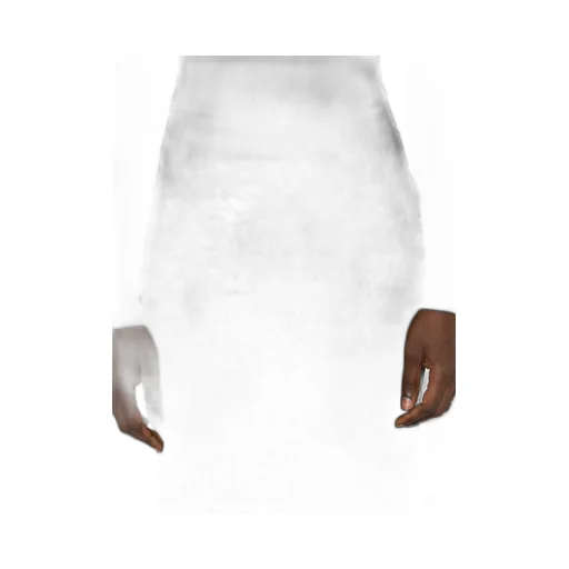 Lace Midi Skirt