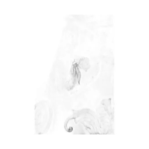 Barocco Print Short-Sleeved Polo Shirt