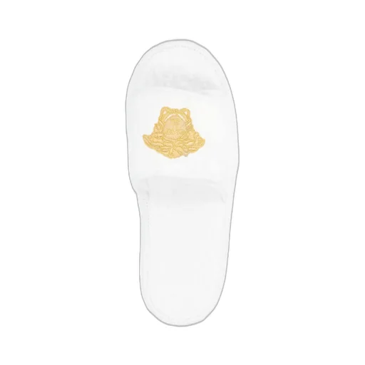 Logo Monogram Platform Slides
