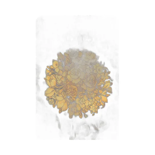 Barocco-Print Scarf