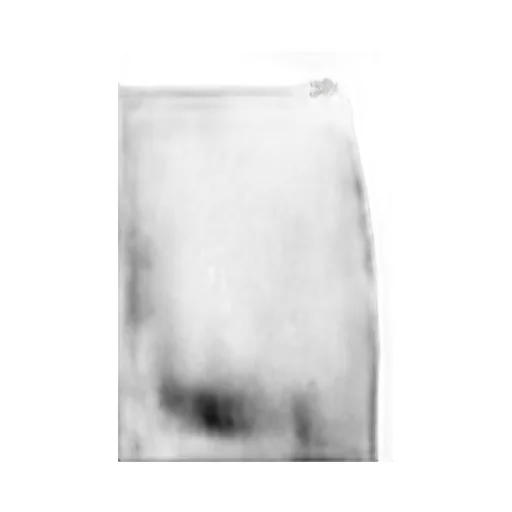 Medusa Straight Hem Midi Skirt