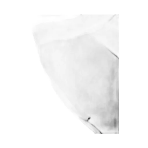 Logo-Embroidered Elasticated Waistband Track Pants