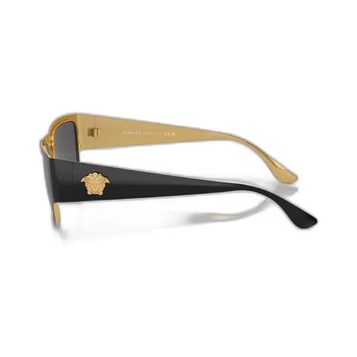 Square Frame Sunglasses