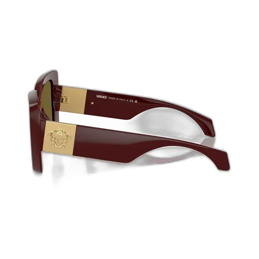 Medusa-Plaque Oversized-Frame Sunglasses