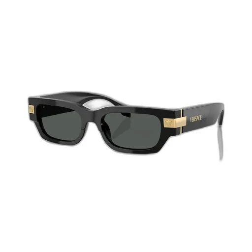 Classic Rectangle-Frame Sunglasses