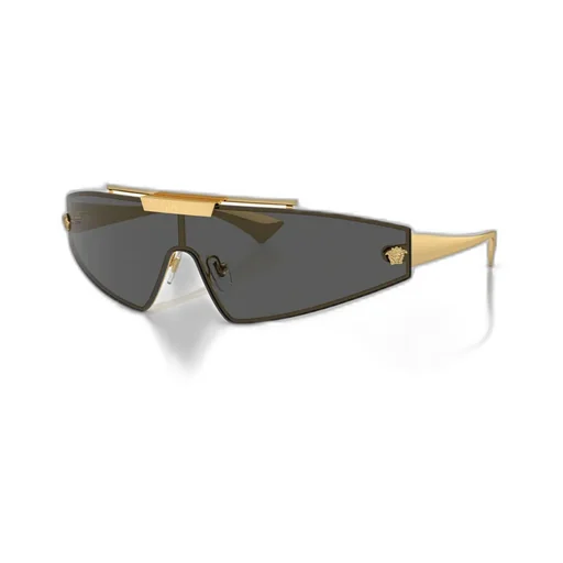 Oversize-Frame Sunglasses