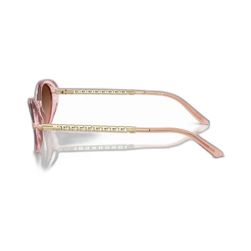 Greca-Plaque Oval-Frame Sunglasses