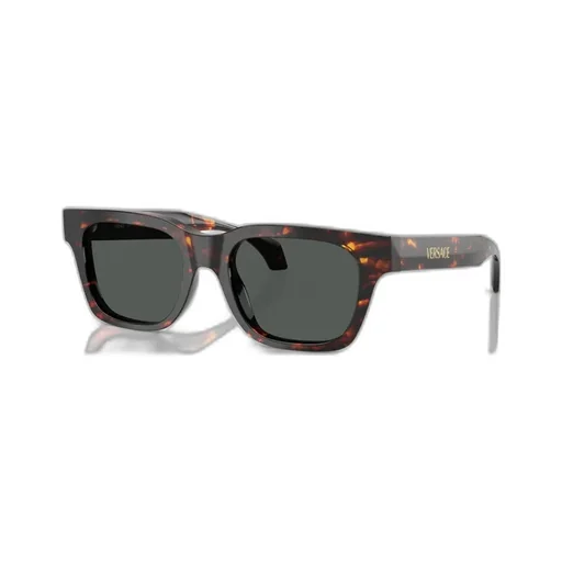 Square-Frame Sunglasses