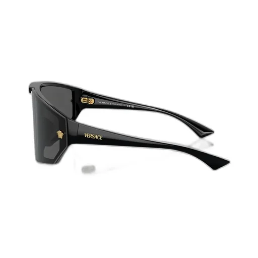 Full Frame Sunglasses