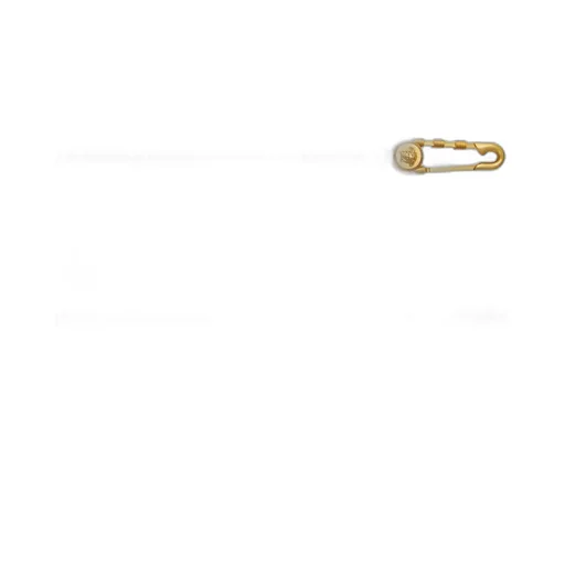 Medusa Head Motif Chain Belt