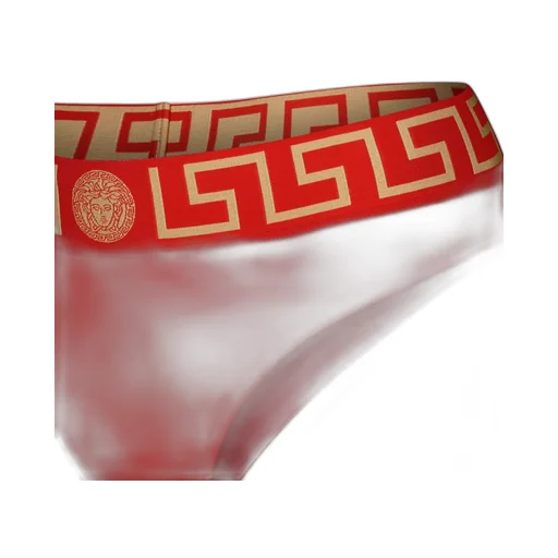 Greca Border Bikini Bottoms