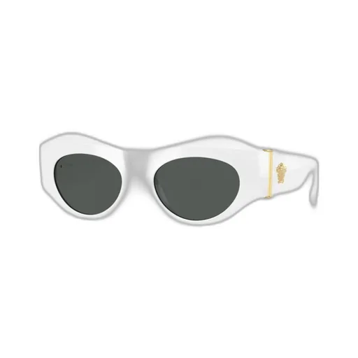 Full Frame Sunglasses
