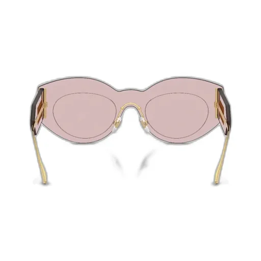 Shield Sunglasses
