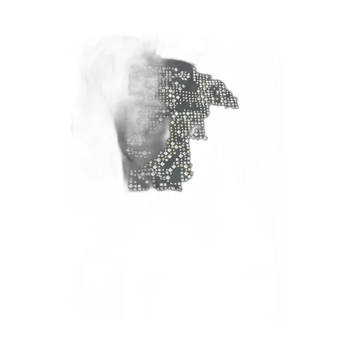 Long Sleeve T-Shirt With Embellishment