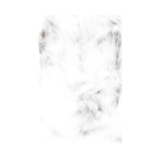 Vlogo Signature Frayed Edge Shawl