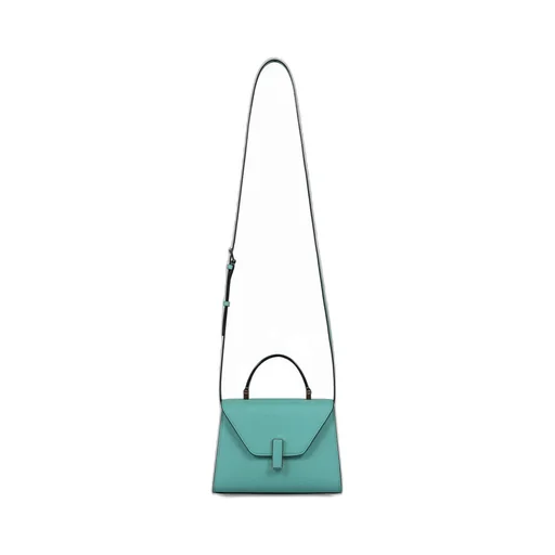Iside Foldover Micro Crossbody Bag