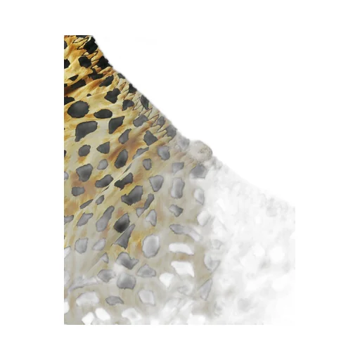 Leopard-Print Silk Shorts