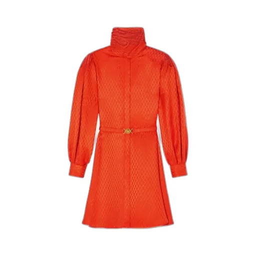 Belted Long-Sleeved Dress