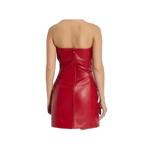 Strapless Zipped Mini Dress