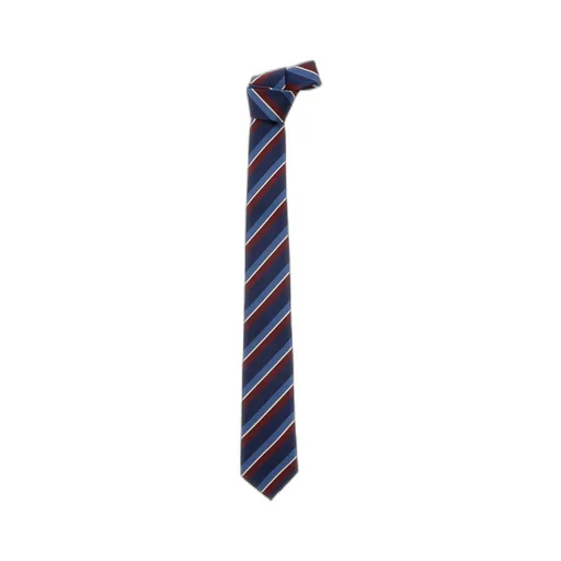 Stripe Detailed Tie
