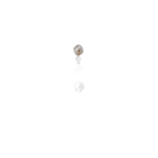Vlogo Signature Earrings