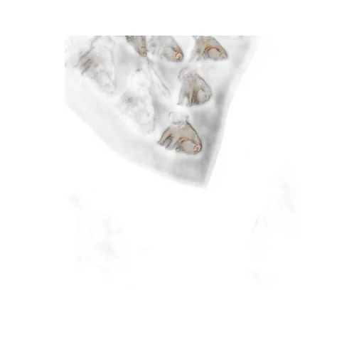 Petit Charles Silk Foulard