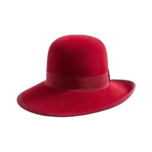 Vlogo Hat
