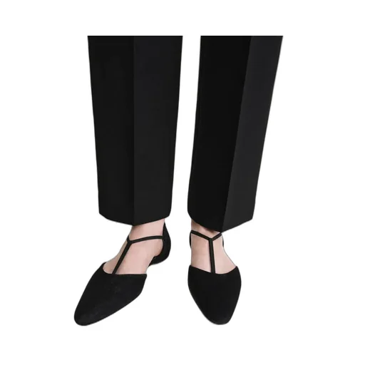 Pointed Toe Ballet Flats