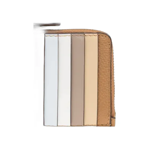 Robinson Wallet